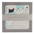 Peek - A - Boo Cats and Pencil Stripe Bamboo Muslin Newcastle Blanket - My Store